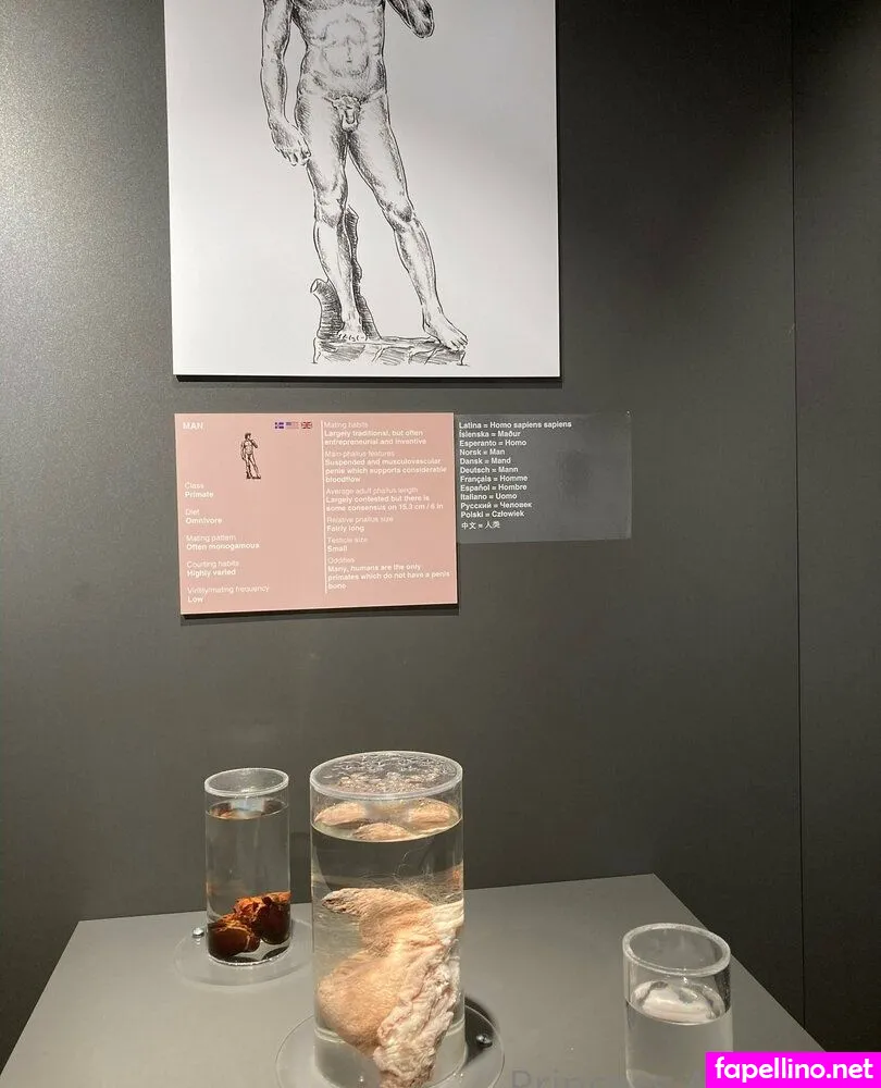 princess.augustine.1426, princessaugustine Nude Leaked OnlyFans Photo #wwkQodCGqX