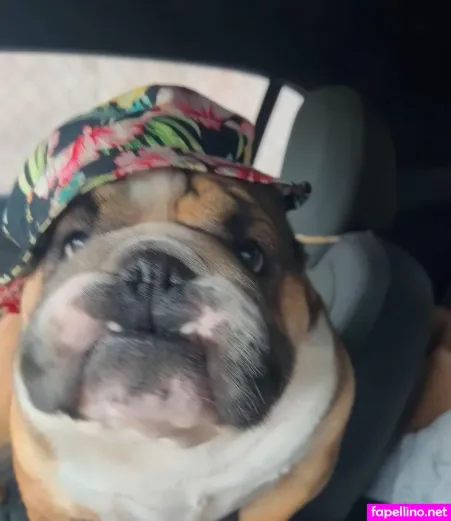 Princessemilyyyy OnlyFans Thumbnail #MN6mriT6UG