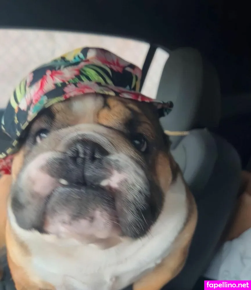 emtheprincesss, princessemilyyyy Nude Leaked OnlyFans Photo #MN6mriT6UG