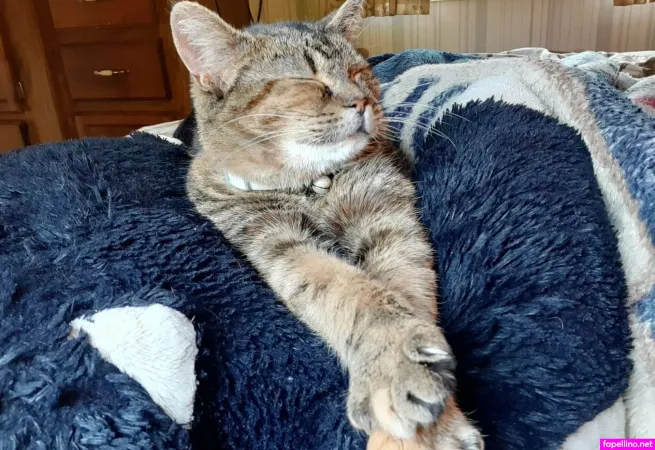 Princesstrashfree OnlyFans Thumbnail #SlknmcRhcB