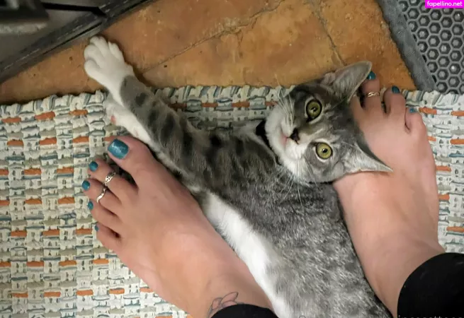 Princessttoes OnlyFans Thumbnail #LLMz2lnkfY