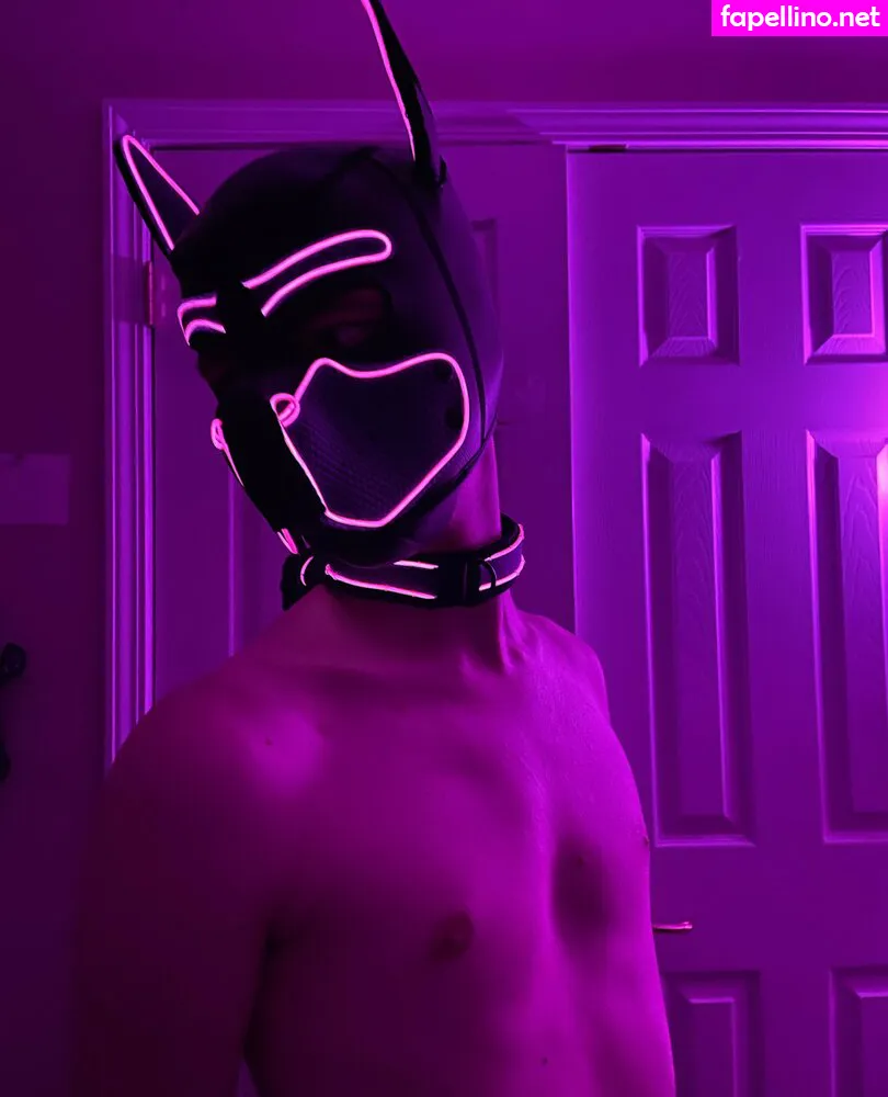 pup_haze Nude Leaked OnlyFans Photo #DoRxPJynyq