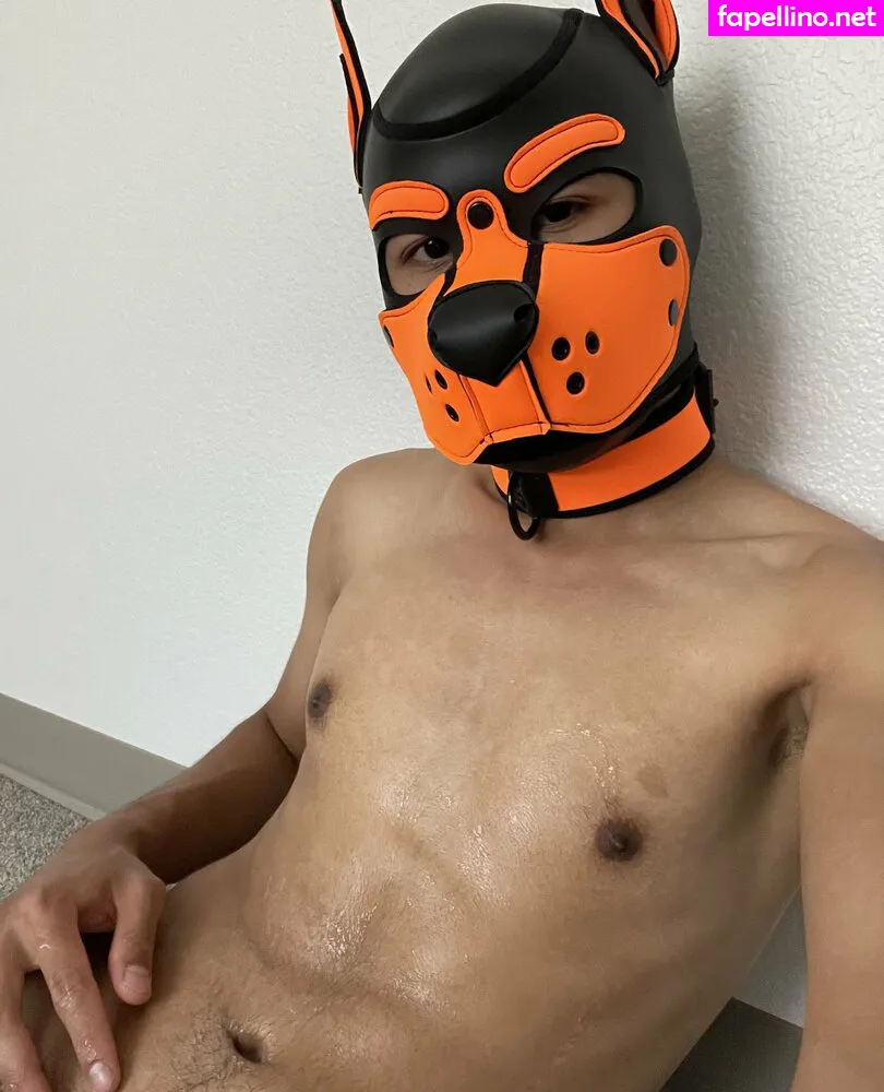 pup.rawuu, pup_rawuu Nude Leaked OnlyFans Photo #lCjB94ooqu