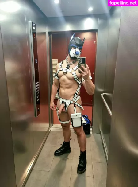 Pupbuday OnlyFans Thumbnail #dFAzDb9f7n