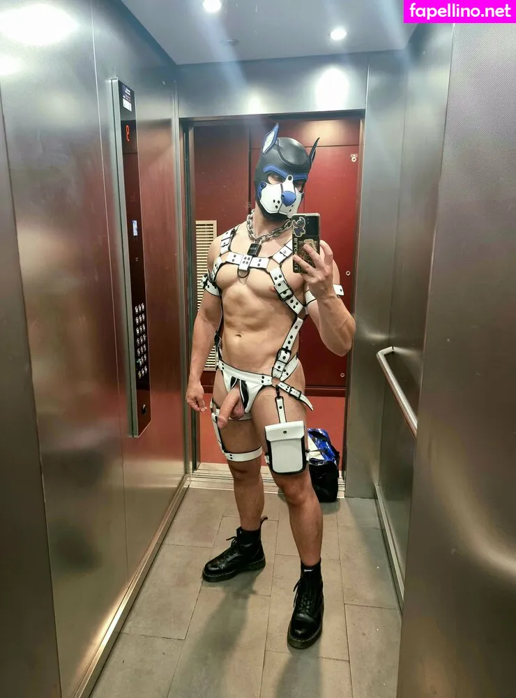 pup_buday, pupbuday Nude Leaked OnlyFans Photo #dFAzDb9f7n