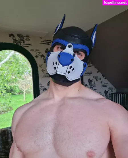 Pupbuday OnlyFans Thumbnail #rldrGMuwRT
