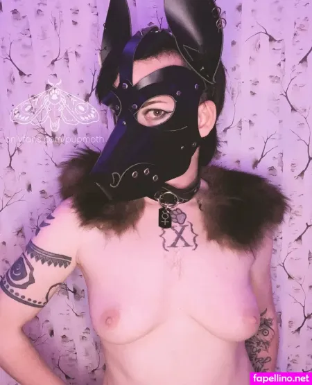 Pupmoth OnlyFans Thumbnail #24AGeDvmuJ