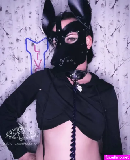 Pupmoth OnlyFans Thumbnail #X4A9HiKkuA
