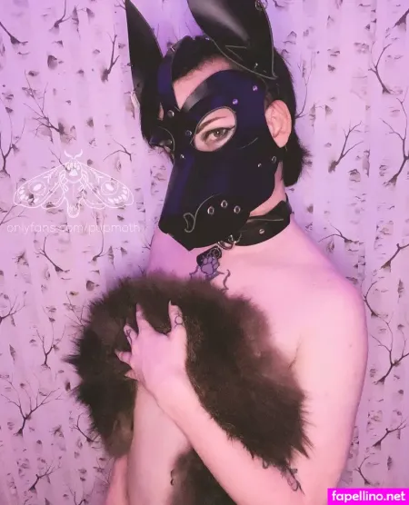 Pupmoth OnlyFans Thumbnail #fqf4TrHo4b