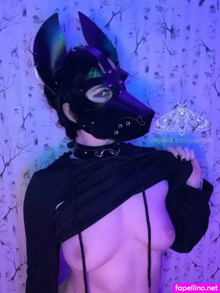 Pupmoth OnlyFans Thumbnail #iBf9hovIZP