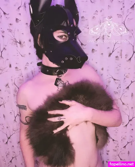 Pupmoth OnlyFans Thumbnail #u3OFOpk4ZC