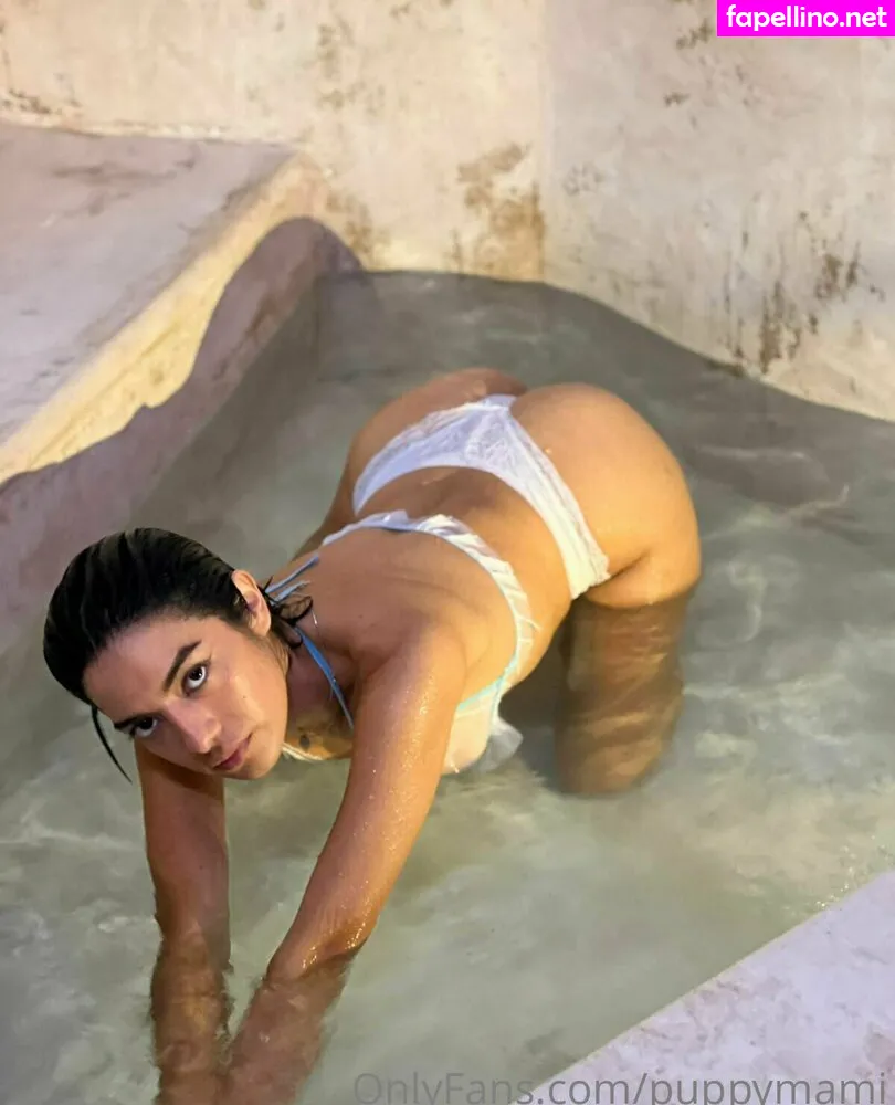 puppymami Nude Leaked OnlyFans Photo #MkWCFPZdim