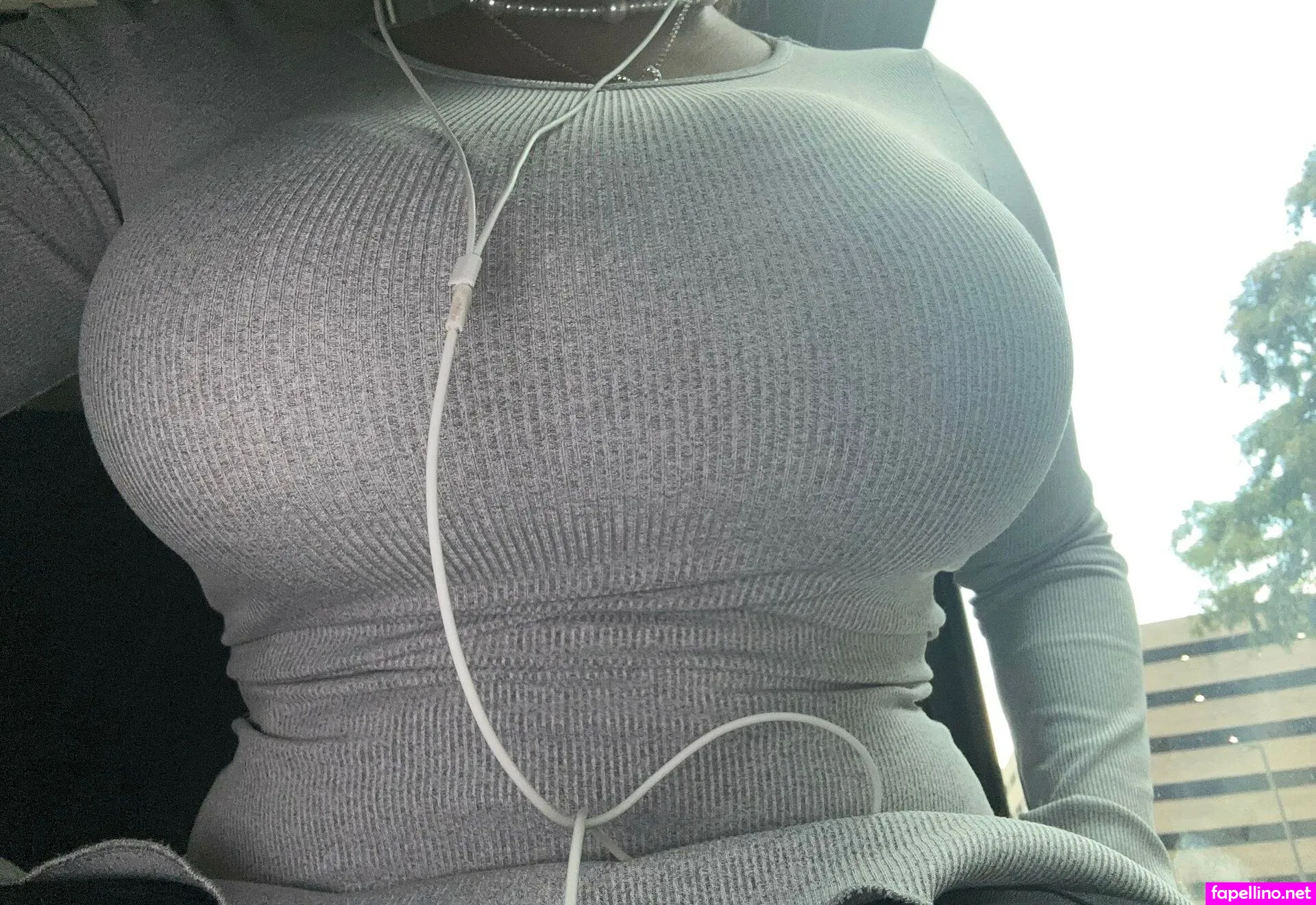 pupsuasion Nude Leaked OnlyFans Photo #tiUn4jwNns