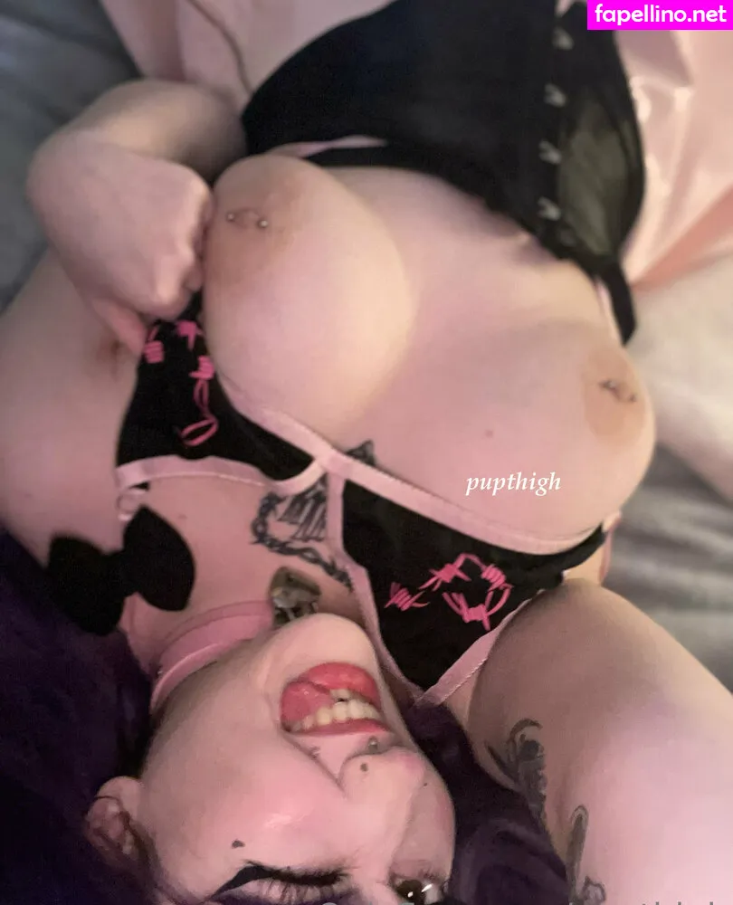 puphiggs, pupthigh Nude Leaked OnlyFans Photo #Cd9IefdWwC