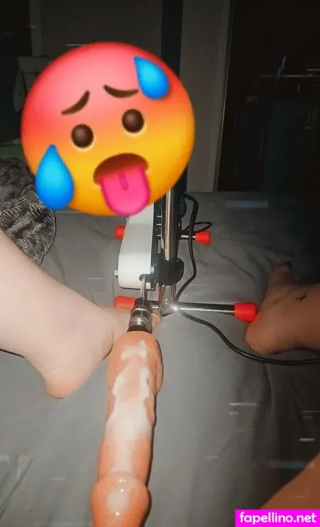 Purpleturtle0704 Main Profile Photo