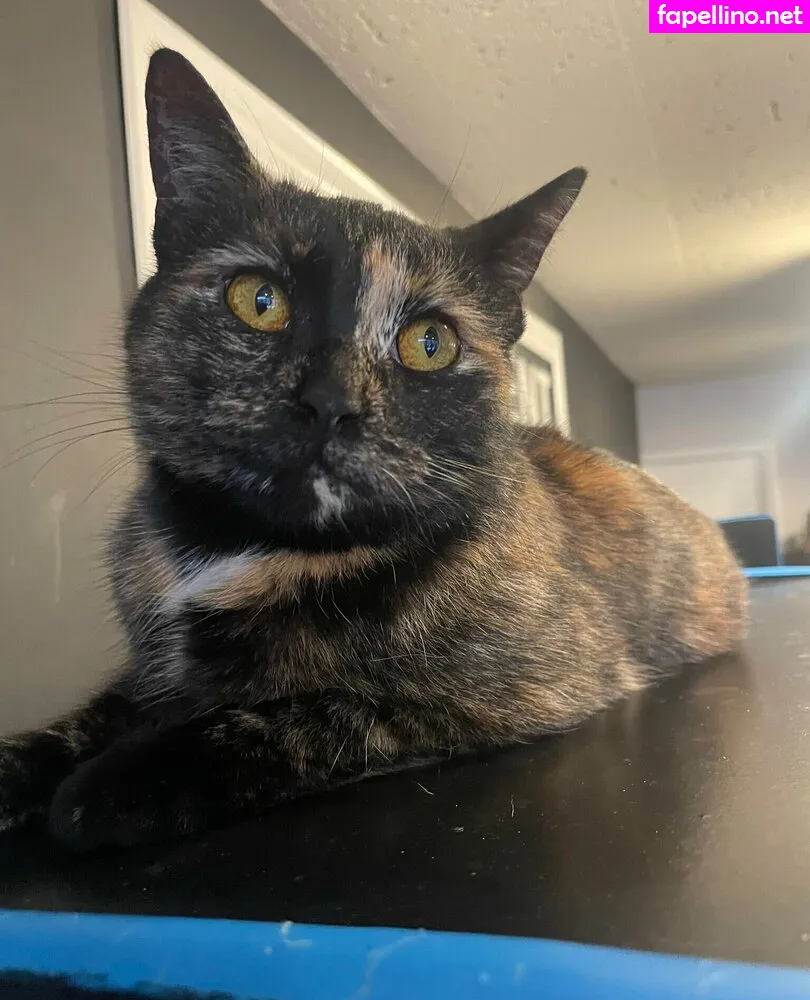 pushinguprosesart, pushinuproses Nude Leaked OnlyFans Photo #LIaCuKDkwi