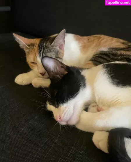 Pushinuproses OnlyFans Thumbnail #bKR80eHJ64