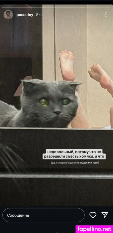 Pussutoy OnlyFans Thumbnail #u7AnPqWnjV