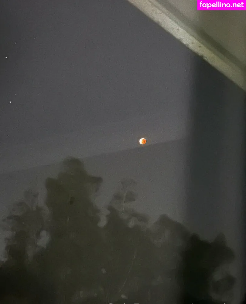 _tmz_, pzz_drey Nude Leaked OnlyFans Photo #nl35PM2bsB