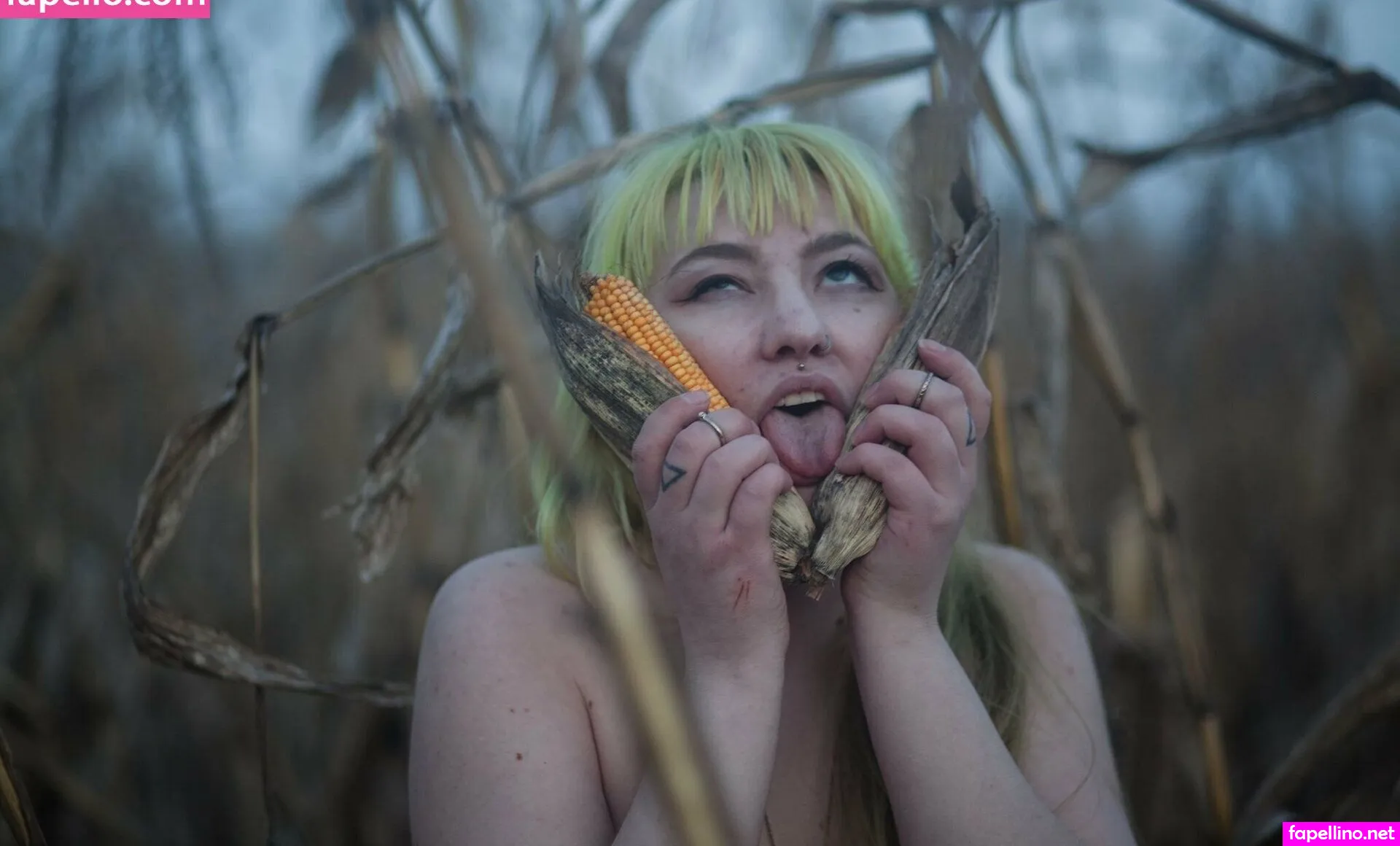 quartzkittenfree, thegodquartz Nude Leaked OnlyFans Photo #fu9RuUnM5k