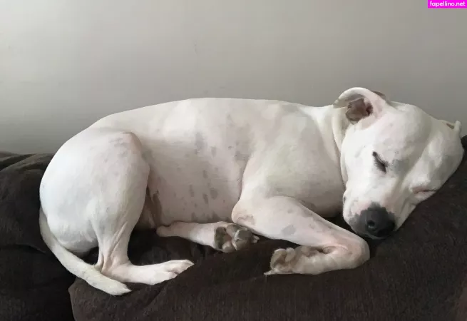 Queenbracee OnlyFans Thumbnail #tM9jEmSnsl