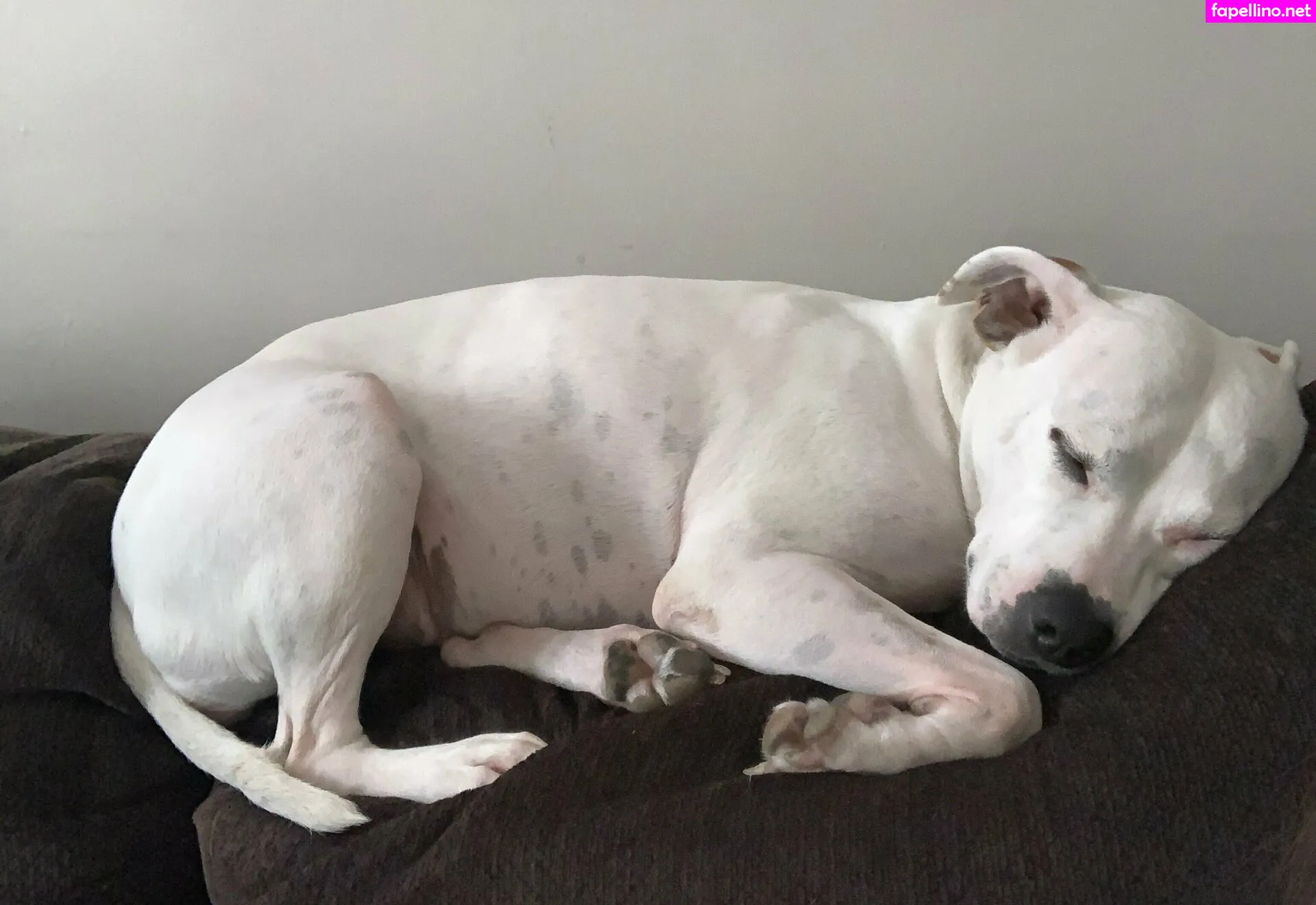 queenbracee Nude Leaked OnlyFans Photo #tM9jEmSnsl