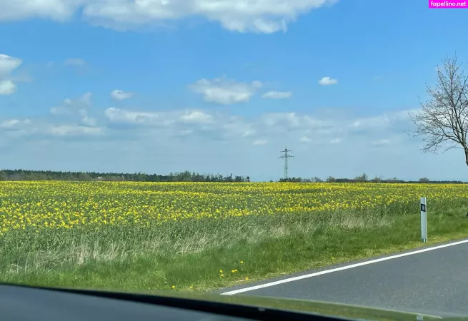 Quin Night Afterdark OnlyFans Thumbnail #m1sSlEE1P9