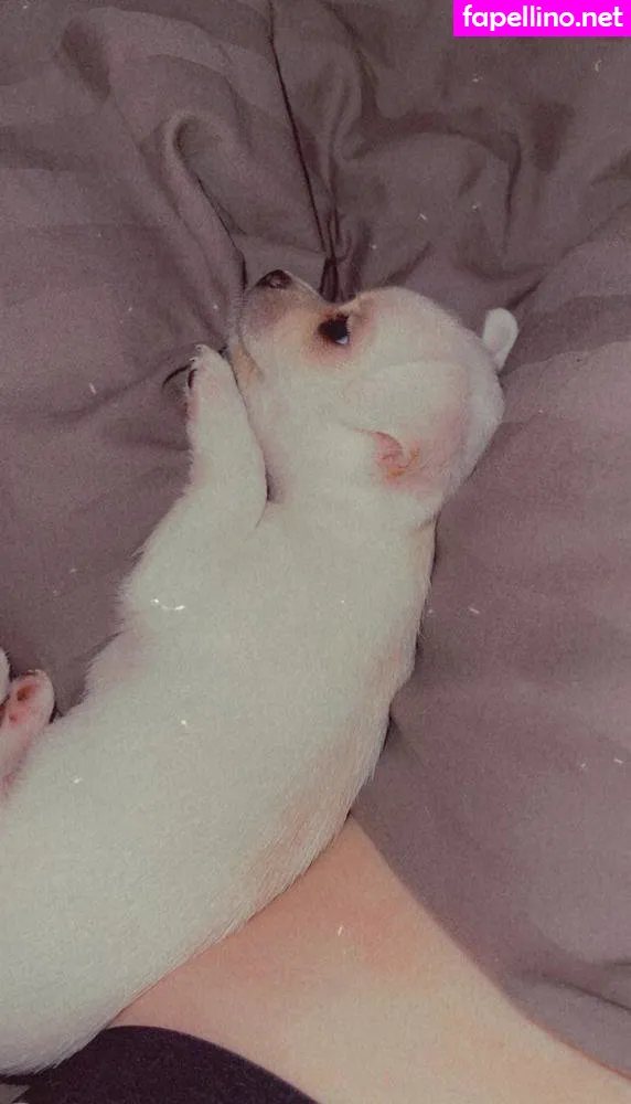 rachelcum1 Nude Leaked OnlyFans Photo #cEa5CDJYsp