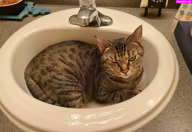 Radiantkitsune OnlyFans Thumbnail #zzguWeTqDX