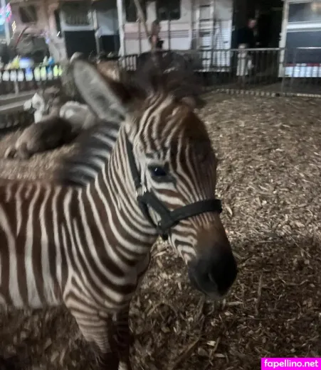 Raegan OnlyFans Thumbnail #PbNnElOpzs