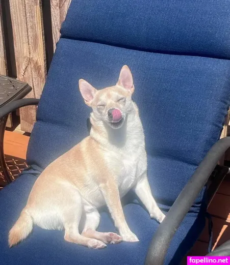 Raegan OnlyFans Thumbnail #QxtsSDN4fx