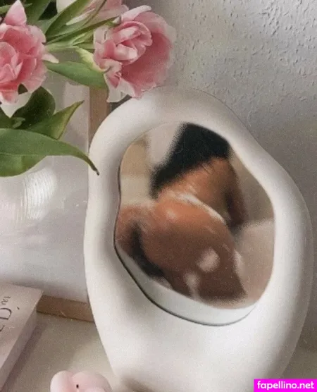 Raikrishad4l OnlyFans Thumbnail #ihTMrE6DJq