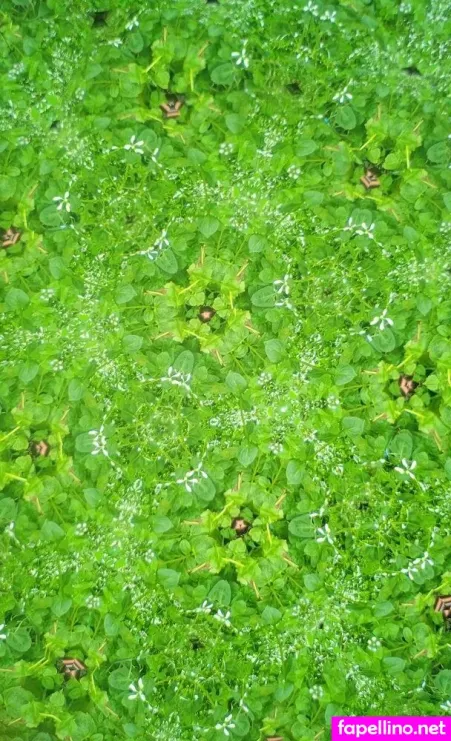 Rainewyrm OnlyFans Thumbnail #K8dZBOtH8R