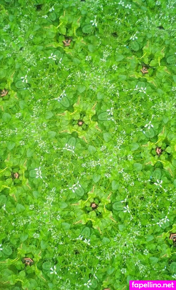 RaineWyrm Nude Leaked OnlyFans Photo #K8dZBOtH8R