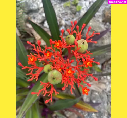 Ravenhex3 OnlyFans Thumbnail #BDqfAj8quC