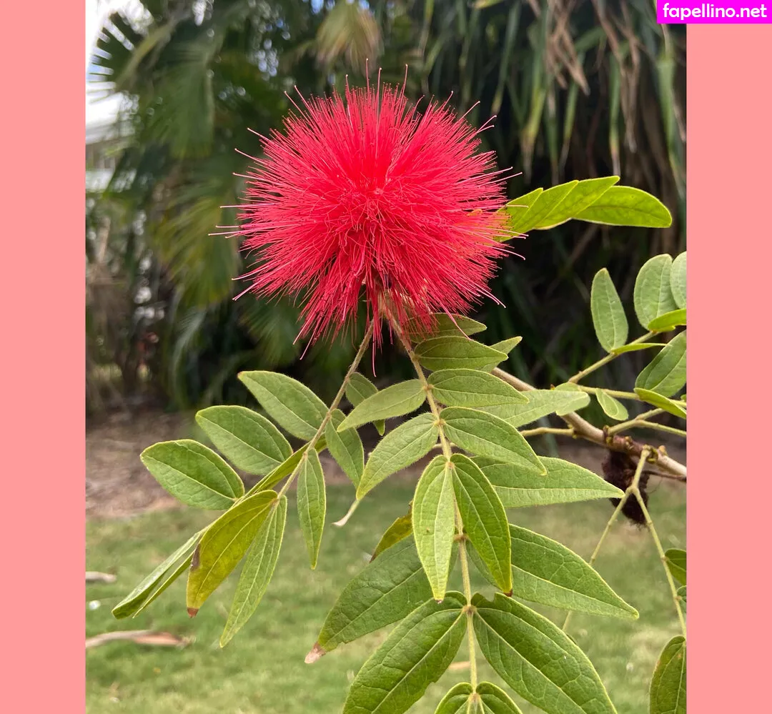 _raerae03, ravenhex3 Nude Leaked OnlyFans Photo #JVvaRA4l0M