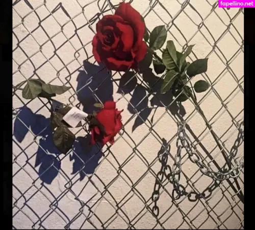 Ravenhex3 OnlyFans Thumbnail #endG3vxkd2