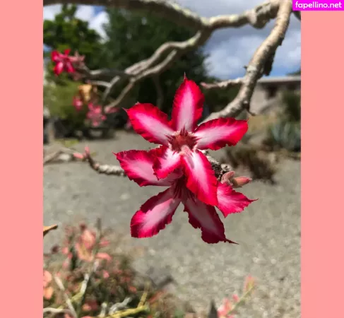 Ravenhex3 OnlyFans Thumbnail #hnRhqF4ulW