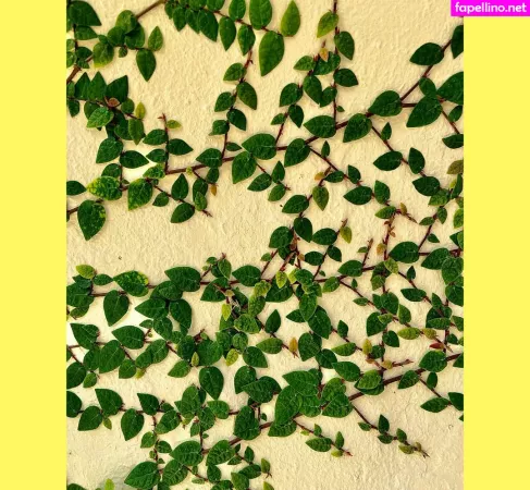 Ravenhex3 OnlyFans Thumbnail #m8M7nnkyi0