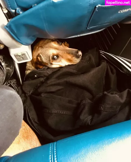 Ravenhex3 OnlyFans Thumbnail #nE7q4aceek