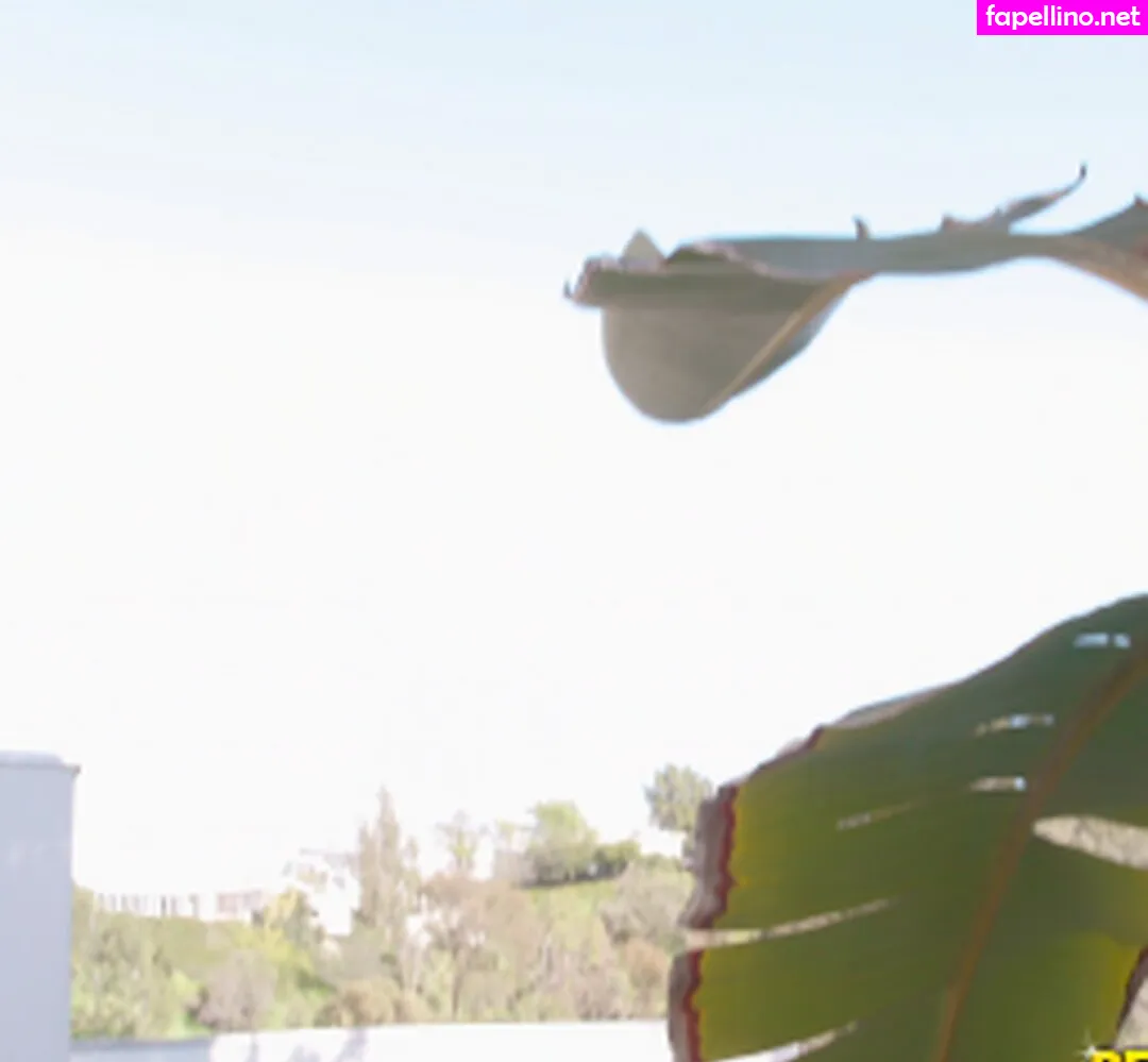 Mike In Brazil, OFTV, official_rkings Nude Leaked OnlyFans Photo #O3psAdCkQp