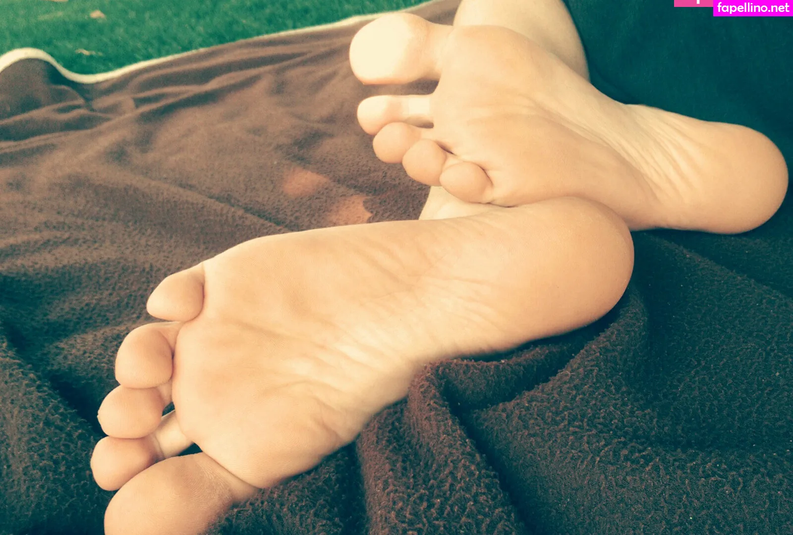 realnickfox, realnickfoxx Nude Leaked OnlyFans Photo #fTH3VOy58I