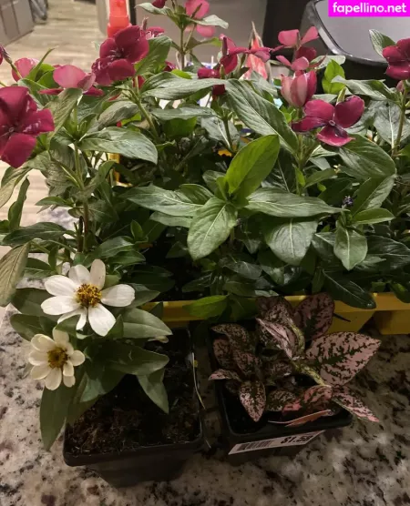 Realskygray OnlyFans Thumbnail #vd9bfcaXWf