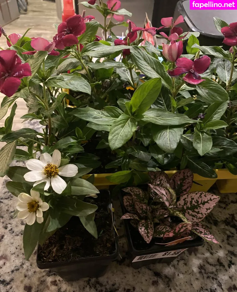 realgravy, realskygray Nude Leaked OnlyFans Photo #vd9bfcaXWf