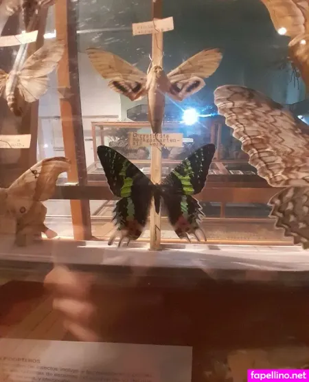 Rebecanebula OnlyFans Thumbnail #3yq8qdyT9n