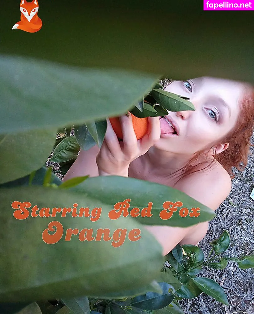 Ne_prosto_lisa, redfoxofficial Nude Leaked OnlyFans Photo #NL96CCTChE