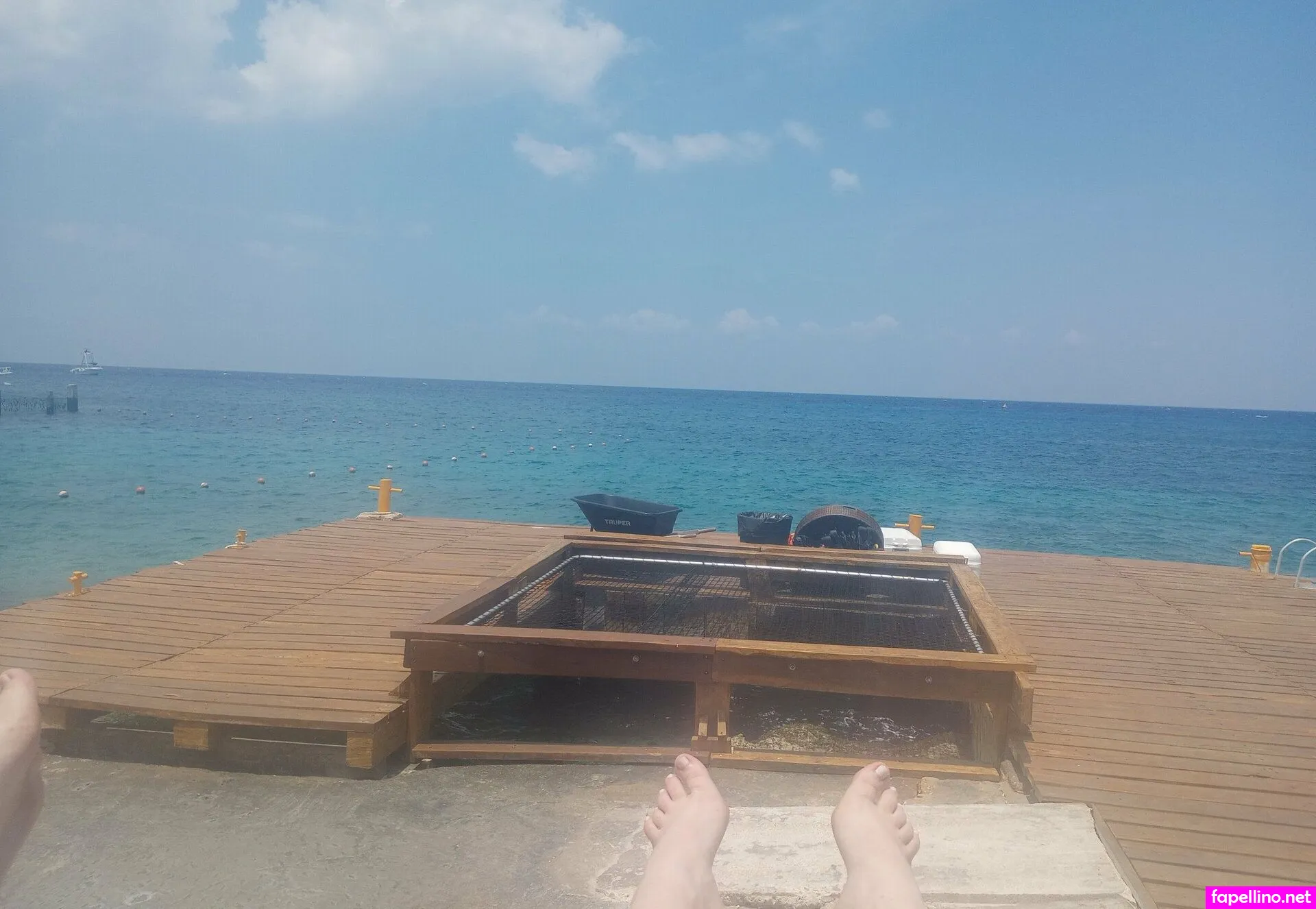 red_loves_feet, reds_feet Nude Leaked OnlyFans Photo #UGmVyn46NV