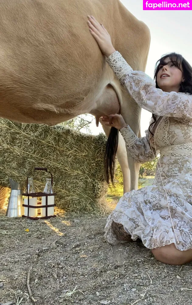 reedandweep, reedsuicide Nude Leaked OnlyFans Photo #zfqSW6PW0r