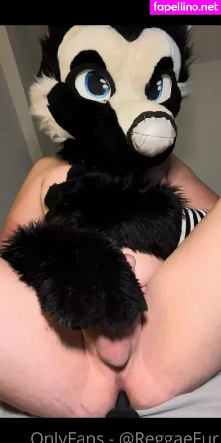 Reggaexharuki OnlyFans Thumbnail #8DOli8h1jr