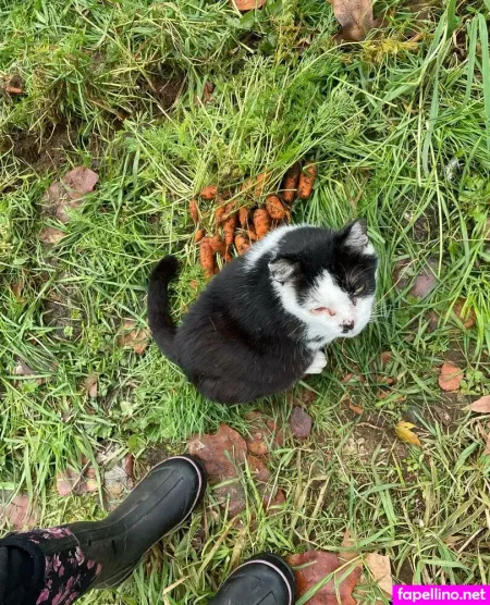 Reneealeja OnlyFans Thumbnail #4qeU1cTTV4